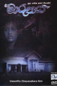The Storm 1995 on netflix