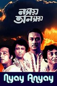 Nyay Anyay 1981 on netflix