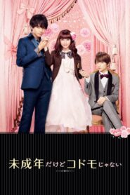 Teen Bride 2017 on netflix