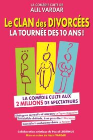 Le Clan des divorcées 2009 on netflix