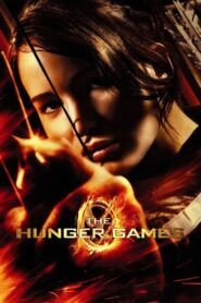 The Hunger Games 2012 on netflix