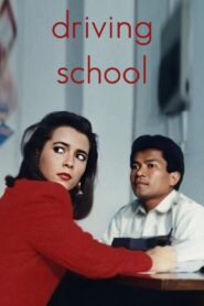 Driving School 1990 on netflix
