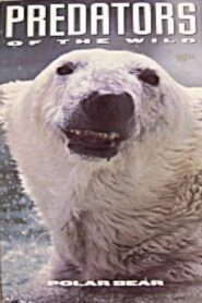 Predators of the Wild: Polar Bear 1993 on netflix