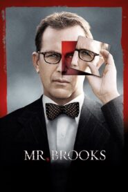 Mr. Brooks 2007 on netflix