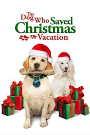 The Dog Who Saved Christmas Vacation 2013 on netflix