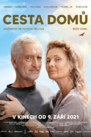 Way Home 2021 on netflix