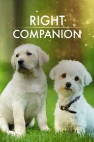 The Right Companion 2009 on netflix