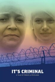 It’s Criminal 2017 on netflix