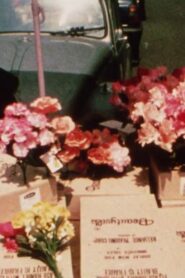 The Journey to Mexico 1989 on netflix