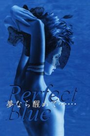 Perfect Blue: Yume Nara Samete 2002 on netflix