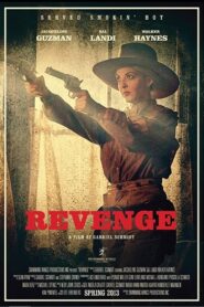 Revenge 2013 on netflix
