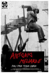 Antonio Meliande – Pau pra toda obra 2011 on netflix