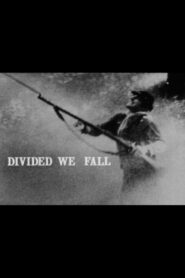 Divided We Fall 1982 on netflix