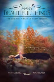 Many Beautiful Things 2015 on netflix