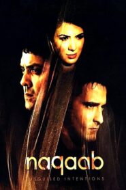Naqaab 2007 on netflix