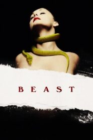 Beast 2011 on netflix