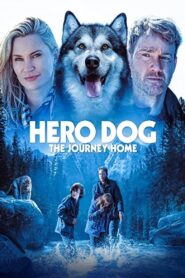 Hero Dog: The Journey Home 2021 on netflix