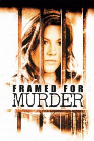 Framed for Murder 2007 on netflix