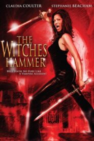 The Witches Hammer 2006 on netflix