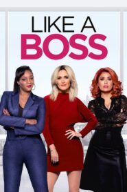 Like a Boss 2020 on netflix
