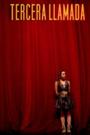 The Last Call 2013 on netflix