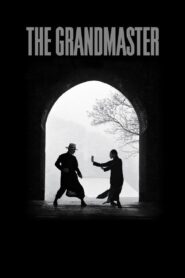 The Grandmaster 2013 on netflix