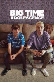 Big Time Adolescence 2020 on netflix
