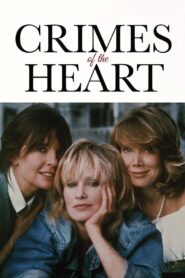 Crimes of the Heart 1986 on netflix