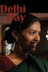 Delhi in a Day 2012 on netflix