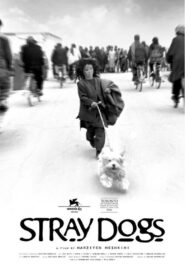 Stray Dogs 2004 on netflix