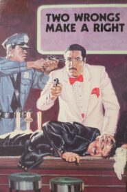 Two Wrongs Make a Right 1987 on netflix