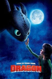 How to Train Your Dragon 2010 on netflix