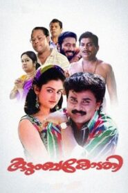 Kudumbakodathi 1996 on netflix