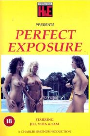 Perfect Exposure 1990 on netflix