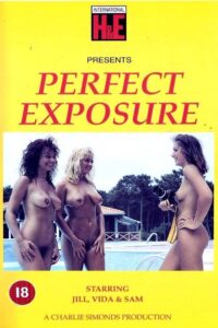 Perfect Exposure 1990 on netflix