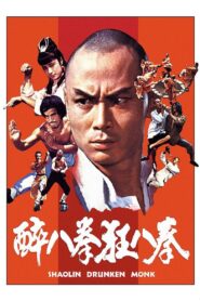 Shaolin Drunken Monk 1982 on netflix