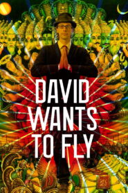David Wants to Fly 2010 on netflix