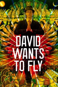 David Wants to Fly 2010 on netflix