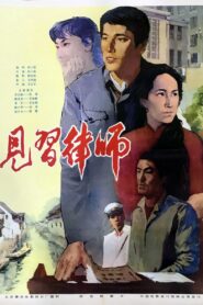 Zai jian lü shi 1982 on netflix