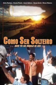 Como Ser Solteiro 1998 on netflix