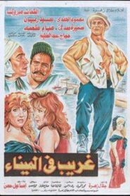 A Stranger in the Port 1995 on netflix