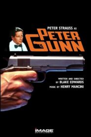 Peter Gunn 1989 on netflix