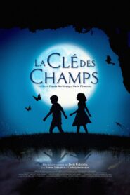 The Field of Enchantment 2011 on netflix