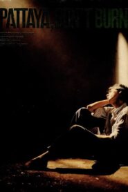 Pattaya Don’t Burn 1987 on netflix