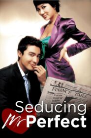 Seducing Mr. Perfect 2006 on netflix