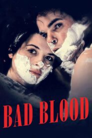 Mauvais Sang 1986 on netflix
