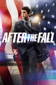 After the Fall 2014 on netflix