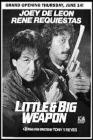 Little & Big Weapon 1990 on netflix
