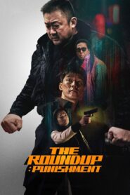 The Roundup: Punishment 2024 on netflix