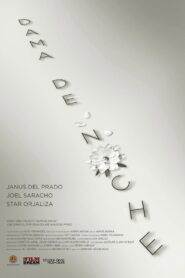 Dama de Noche 2020 on netflix
